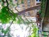 image style