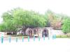 image style
