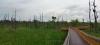image style